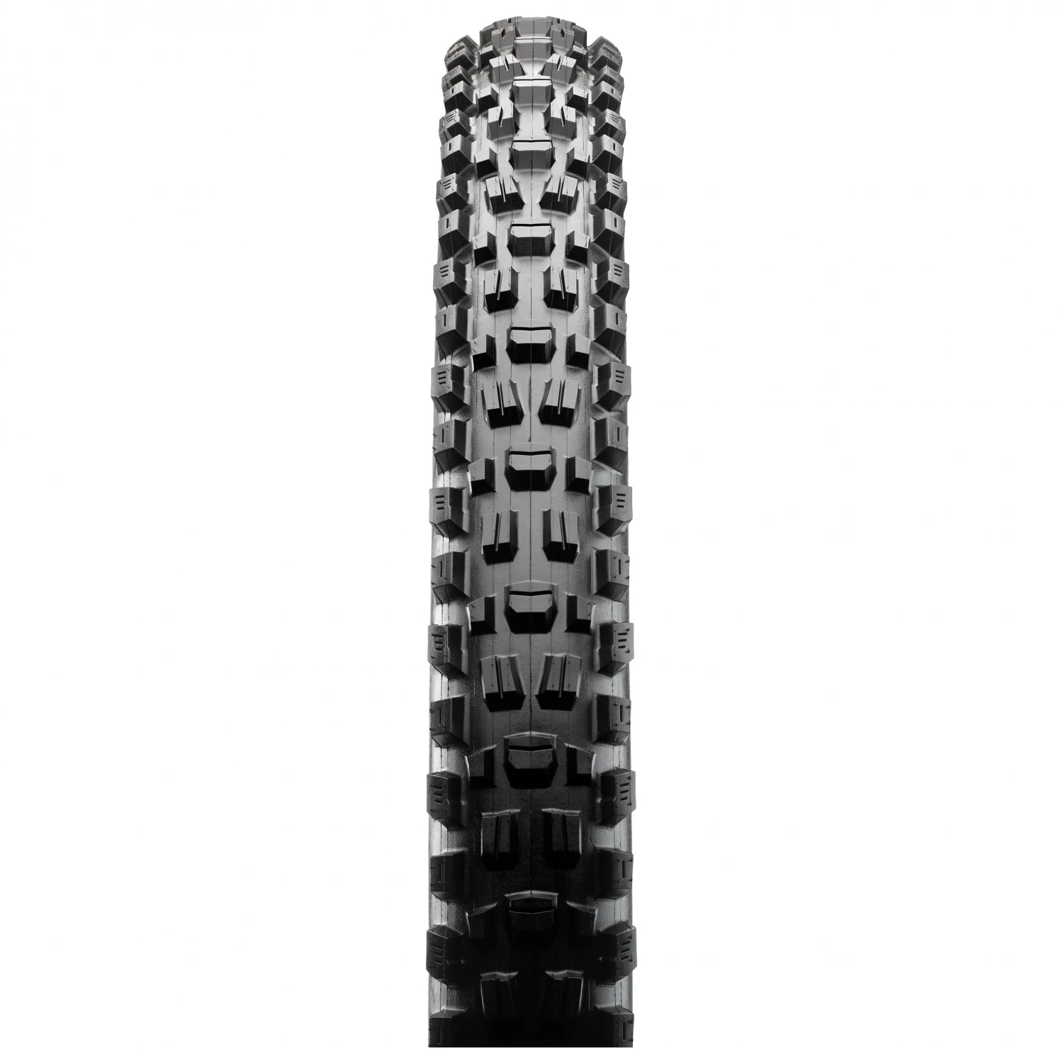 MAXXIS Assegai 27,5'' (63-584) WT 3C MaxxTerra EXO+ TR - Cyclocross Tyre - Image 2