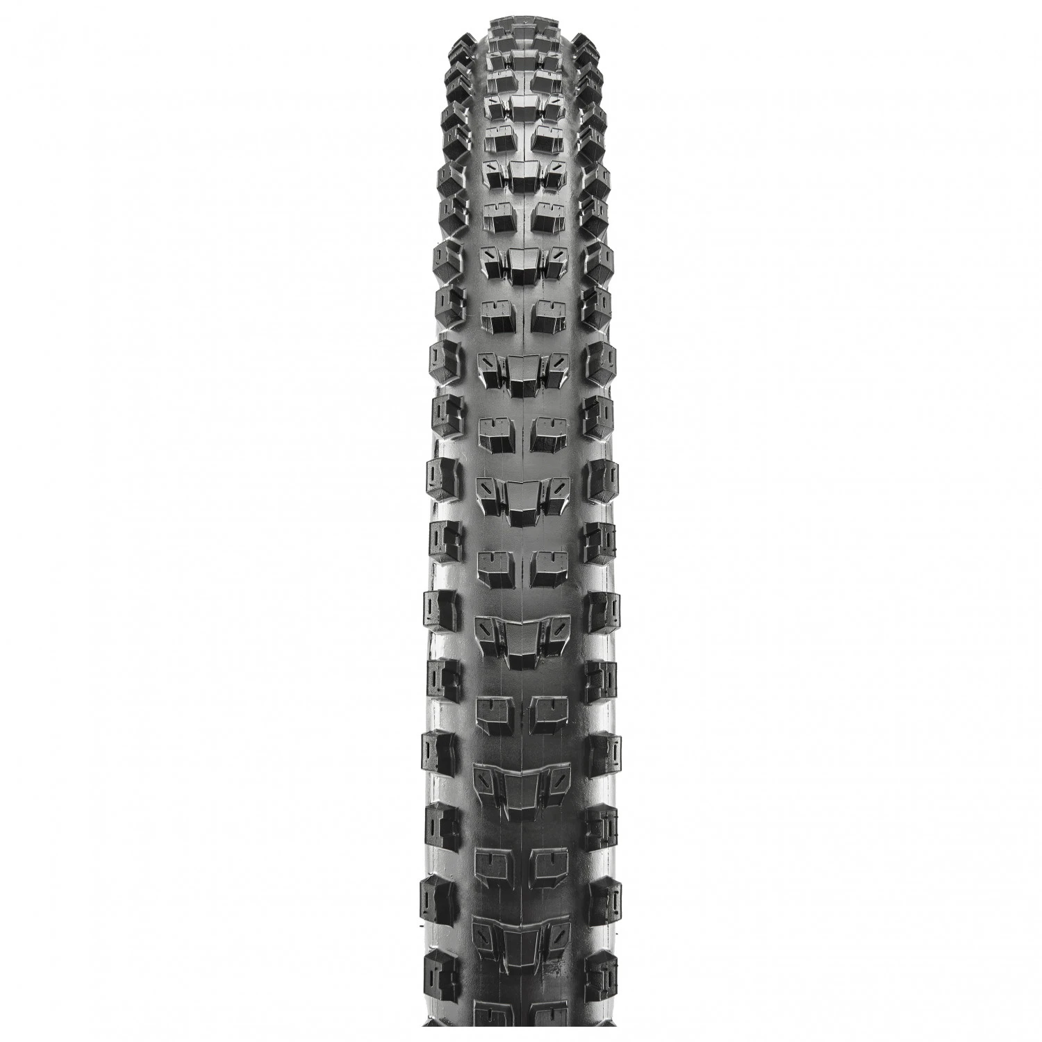 MAXXIS Dissector 29'' (66-622) 3C MaxxTerra EXO TR - Cyclocross Tyre - Image 2